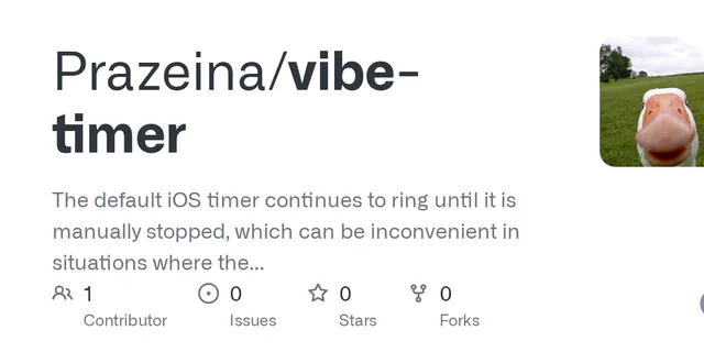 Vibe Timer