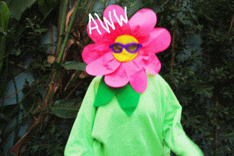 Funny GIF